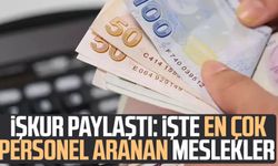 İŞKUR paylaştı: İşte en çok personel aranan meslekler