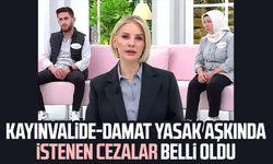 Kayınvalide-damat yasak aşkında istenen cezalar belli oldu