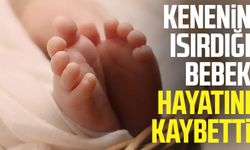 Kenenin ısırdığı bebek hayatını kaybetti