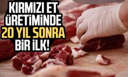 Kırmızı et üretiminde 20 yıl sonra bir ilk!