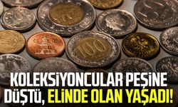 Koleksiyoncular peşine düştü, elinde olan yaşadı!