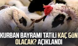 Kurban Bayramı tatili kaç gün olacak? Açıklandı
