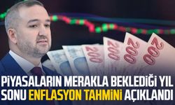 Merkez'in yıl sonu enflasyon tahmini değişmedi: Yüzde 24