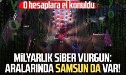 Milyarlık siber vurgun: Aralarında Samsun da var! O hesaplara el konuldu
