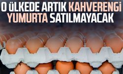 O ülkede artık kahverengi yumurta satılmayacak