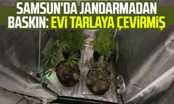 Samsun Kavak'ta jandarmadan baskın: Evi tarlaya çevirmiş