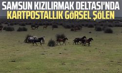 Samsun Kızılırmak Deltası'nda kartpostallık görsel şölen