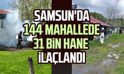 Samsun'da 144 mahallede 31 bin hane ilaçlandı