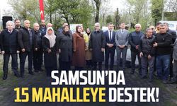 Samsun'da çilek hareketliliği: 15 mahalleye destek!