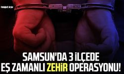 Samsun'da 3 ilçede eş zamanlı zehir operasyonu!