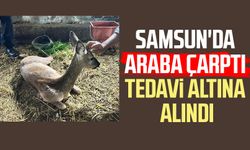 Samsun'da araba çarptı tedavi altına alındı
