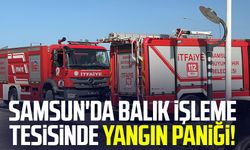 Samsun'da balık işleme tesisinde yangın paniği!