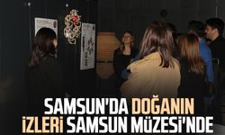 Samsun'da doğanın izleri Samsun Müzesi'nde