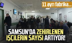 Samsun'da zehirlenen işçilerin sayısı artıyor! 11 ayrı fabrika...