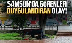 Samsun'da görenleri duygulandıran olay!