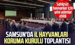 Samsun'da önemli toplantı: Sahipsiz hayvanlar için yeni adımlar atıldı