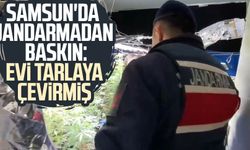 Samsun'da jandarmadan baskın: Evi tarlaya çevirmiş
