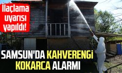 Samsun'da kahverengi kokarca alarmı: İlaçlama uyarısı yapıldı!