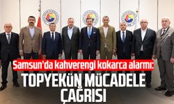 Kahverengi kokarca alarmı: Topyekün mücadele çağrısı