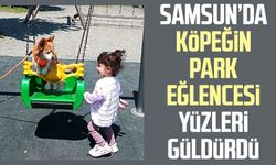 Samsun’da köpeğin park eğlencesi yüzleri güldürdü