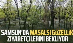 Samsun'da masalsı güzellik ziyaretçilerini bekliyor