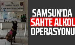 Samsun'da JASAT ekiplerinden sahte alkol operasyonu