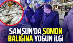 Samsun'da somon balığına yoğun ilgi