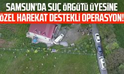 Samsun’da suç örgütü üyesine özel harekat destekli operasyon!