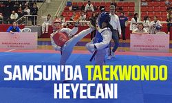 Samsun'da taekwondo heyecanı