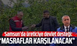 Samsun'da üreticiye devlet desteği: Masraflar karşılanacak