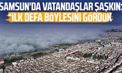 Samsun'da vatandaşlar şaşkın: "İlk defa böylesini gördük"