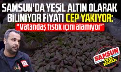 Samsun'da yeşil altın olarak biliniyor fiyatı cep yakıyor