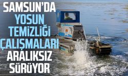 Samsun’da yosun temizliği çalışmaları aralıksız sürüyor
