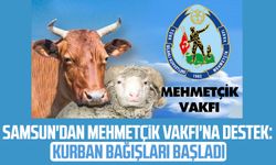 Samsun'dan Mehmetçik Vakfı'na destek: Kurban bağışları başladı