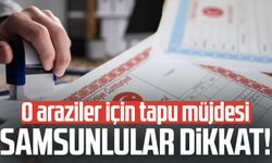Samsunlular dikkat! 2B arazileri için tapu müjdesi
