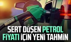 Sert düşen petrol fiyatı için yeni tahmin