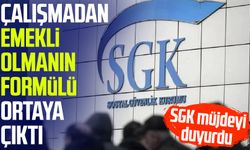 SGK müjdeyi duyurdu: Çalışmadan emekli olmanın formülü ortaya çıktı