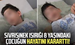 Sivrisinek ısırığı 8 yaşındaki çocuğun hayatını kararttı!
