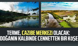 Terme, cazibe merkezi olacak: Doğanın kalbinde cennetten bir köşe