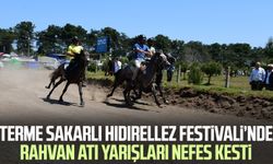 Terme Sakarlı Hıdırellez Festivali’nde Rahvan Atı Yarışları nefes kesti