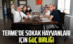 Terme’de sokak hayvanları için güç birliği