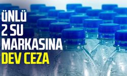 Ünlü iki su markasına dev ceza!