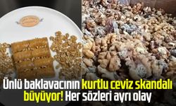 Ünlü baklavacının kurtlu ceviz skandalı büyüyor! Her sözleri ayrı olay