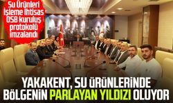 Yakakent, su ürünlerinde bölgenin parlayan yıldızı oluyor
