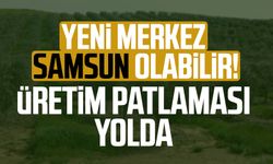 Yeni merkez Samsun olabilir! Üretim patlaması yolda