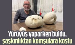 Yürüyüş yaparken buldu, şaşkınlıktan komşulara koştu