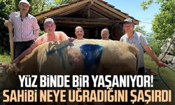Yüz binde bir yaşanıyor! Sahibi neye uğradığını şaşırdı