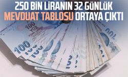 250 bin liranın 32 günlük mevduat tablosu ortaya çıktı
