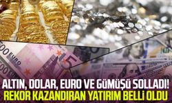 Altın, dolar, euro ve gümüşü solladı! Rekor kazandıran yatırım belli oldu