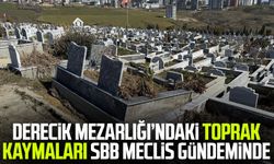 Derecik Mezarlığı’ndaki toprak kaymaları SBB Meclis gündeminde